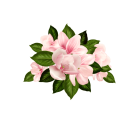 Asset-03.png Asset-03.png